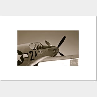 Tuskegee Airmen P51 Mustang Fighter Plane Posters and Art